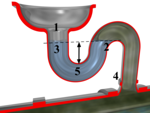 Eine Abbildung eines Siphons, welche den Geruchsverschluss mithilfe des abfließenden Wassers zeigt. Man sieht in dieser Grafik den Weg des Abwassers vom Spülbecken zum Abflussrohr.